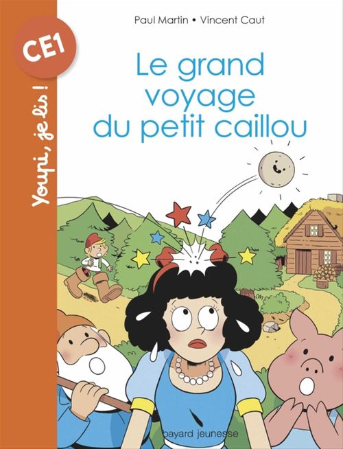ebook cover of Le grand voyage du petit caillou, by Paul Martin