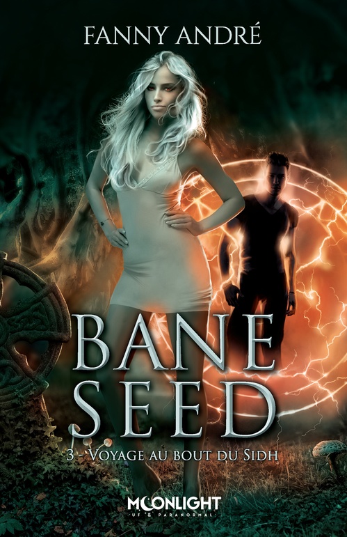 ebook cover of Voyage au bout du Sidh, by Fanny André