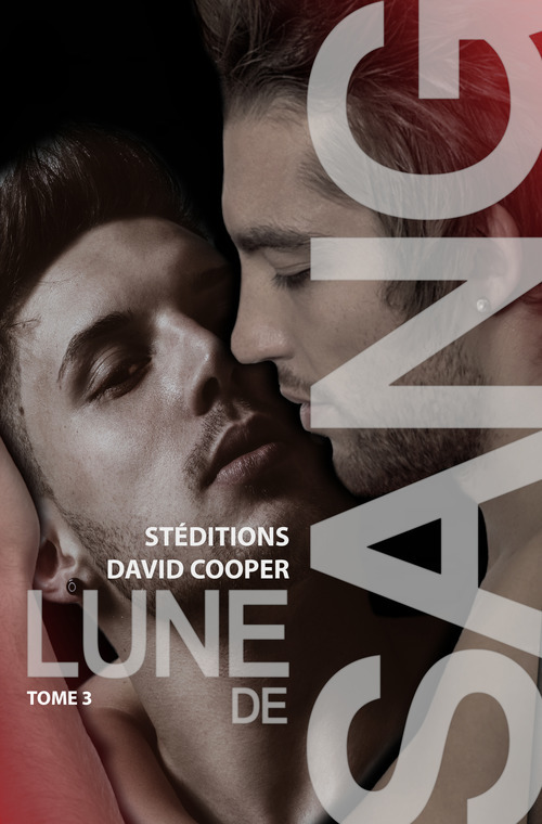 ebook cover of Lune de sang - Tome 3, by David Cooper