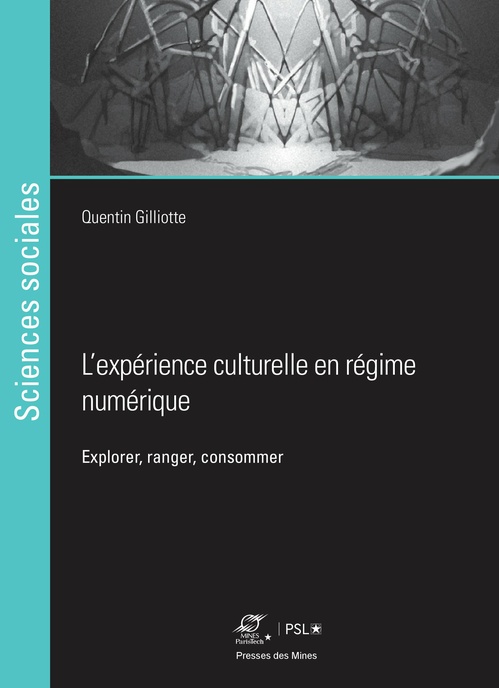 ebook cover of L´expérience culturelle en régime numérique, by Quentin Gilliotte