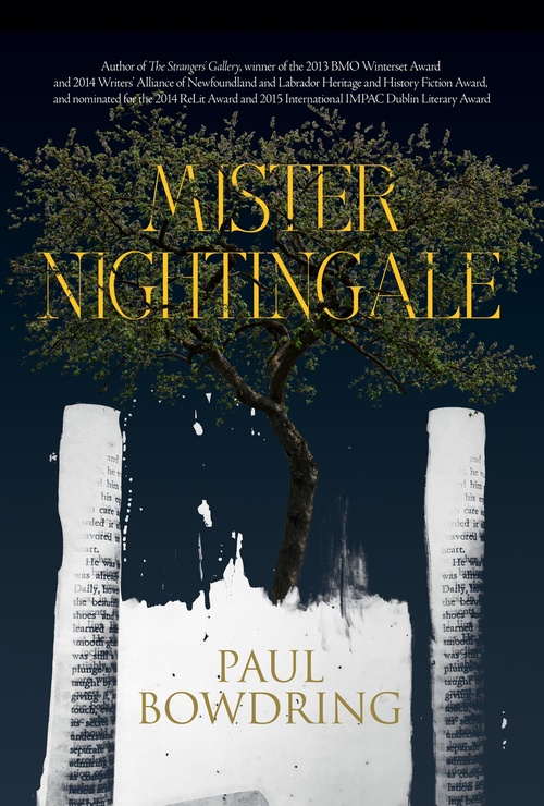 Couverture ebook de Mister Nightingale, de Paul Bowdring