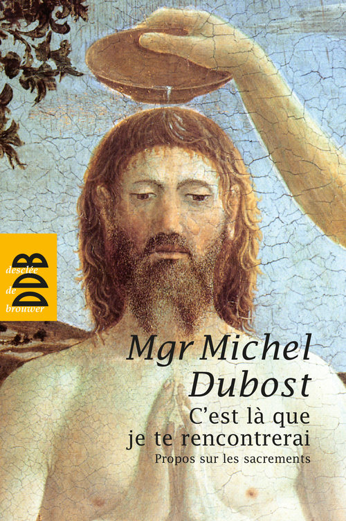 ebook cover of C'est la que je te rencontrerai, by Michel Dubost