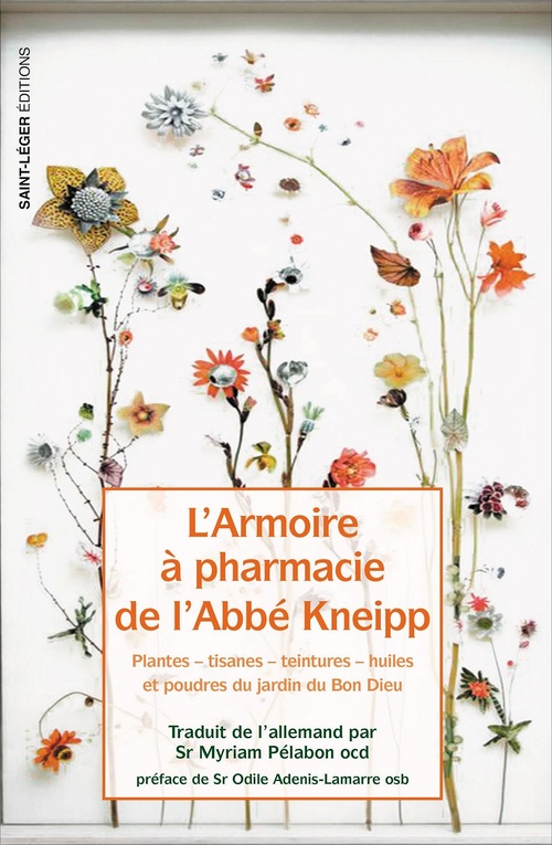 ebook cover of L'armoire à pharmacie de l'Abbé Kneipp, by Sébastian Kneipp