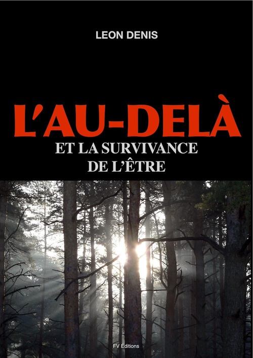Couverture ebook de L'Au-delà et la survivance de l'être, de Léon Denis