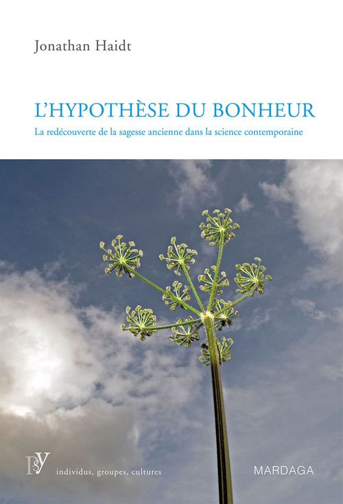 Couverture ebook de L'hypothèse du bonheur, de Jonathan Haidt