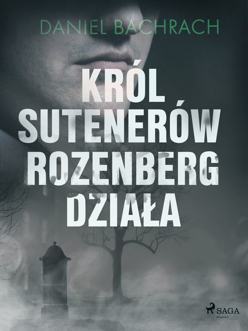 Couverture ebook de Król sutenerów Rozenberg dziala, de Daniel Bachrach