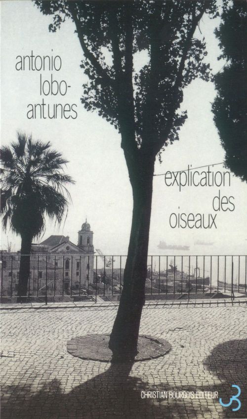 Couverture ebook de Explication des oiseaux, de António Lobo Antunes