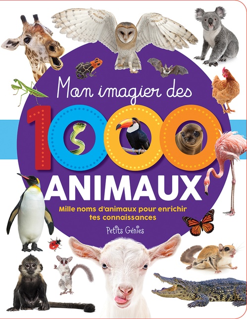 ebook cover of Mon imagier des 1000 animaux, by Marie-Eve Côté