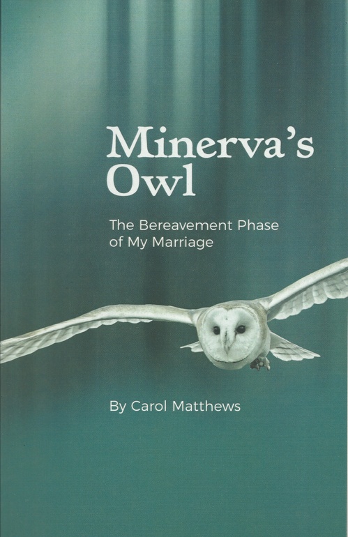 Couverture ebook de Minerva's Owl, de Carol Matthews