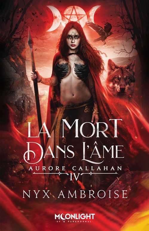 ebook cover of La mort dans l'âme, by Nyx Ambroise