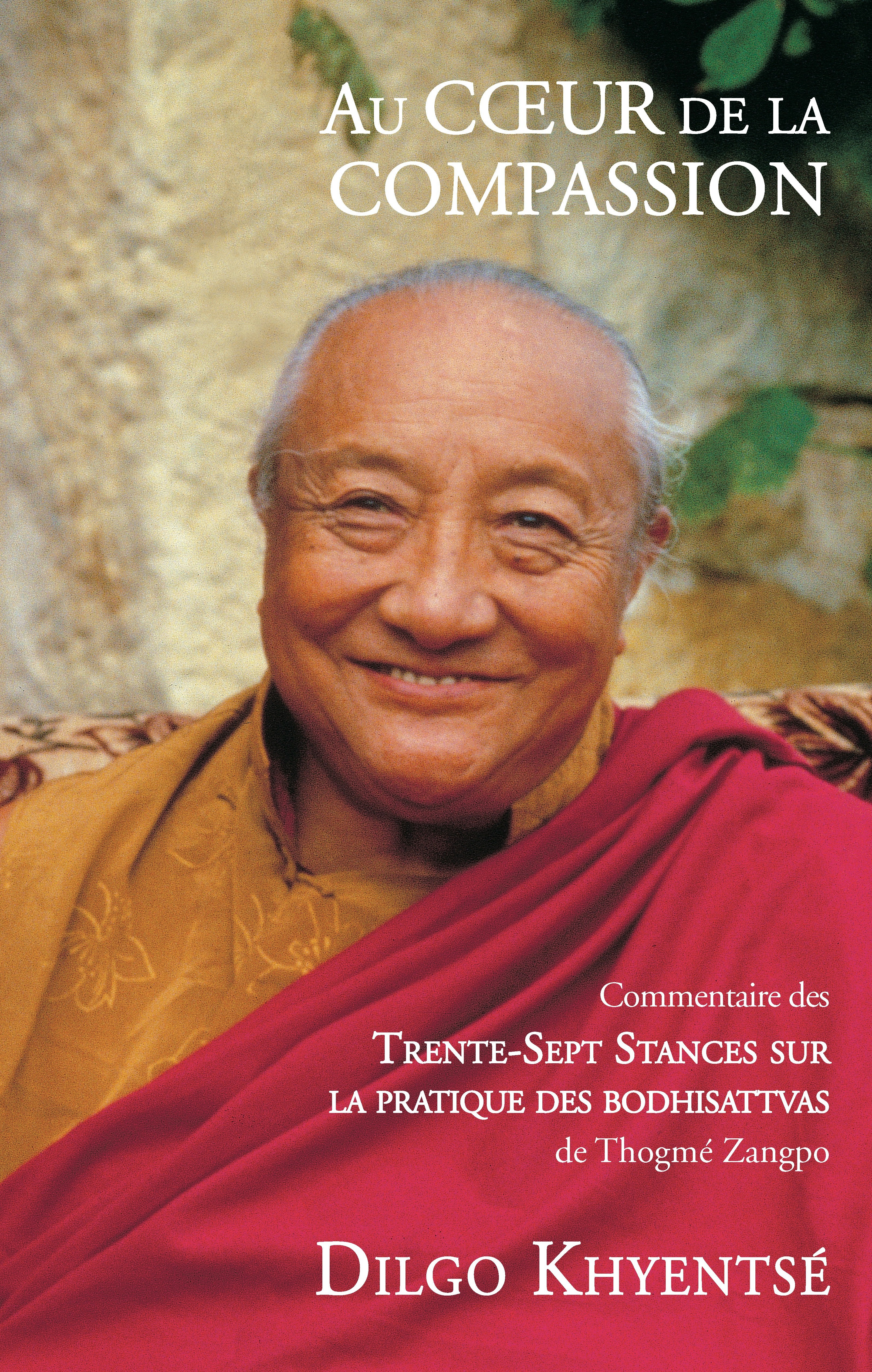 ebook cover of Au coeur de la compassion, by Dilgo Khyentsé