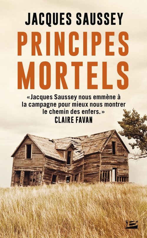 ebook cover of Principes mortels, by Jacques Saussey