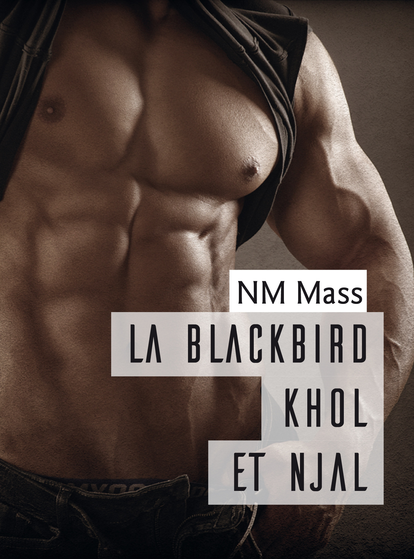 ebook cover of La Blackbird Khôl et Njal, by Nm Mass
