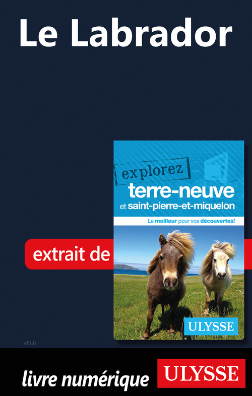 ebook cover of Le Labrador, by Benoit Prieur, Frederique Sauvee