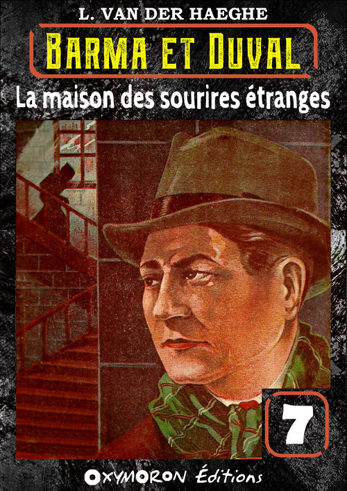 ebook cover of La maison des sourires étranges, by L. Van Der Haeghe