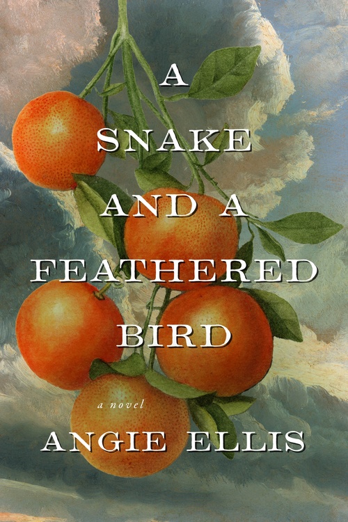 ebook cover of A Snake and a Feathered Bird, by Angie Ellis
