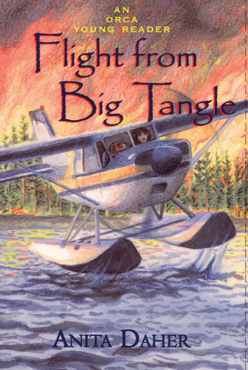 Couverture ebook de Flight from Big Tangle, de Anita Daher