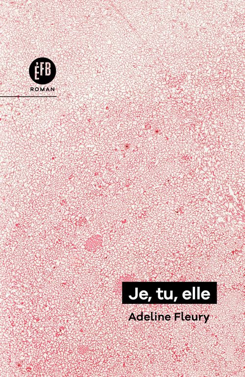 ebook cover of Je, tu, elle, by Adeline Fleury