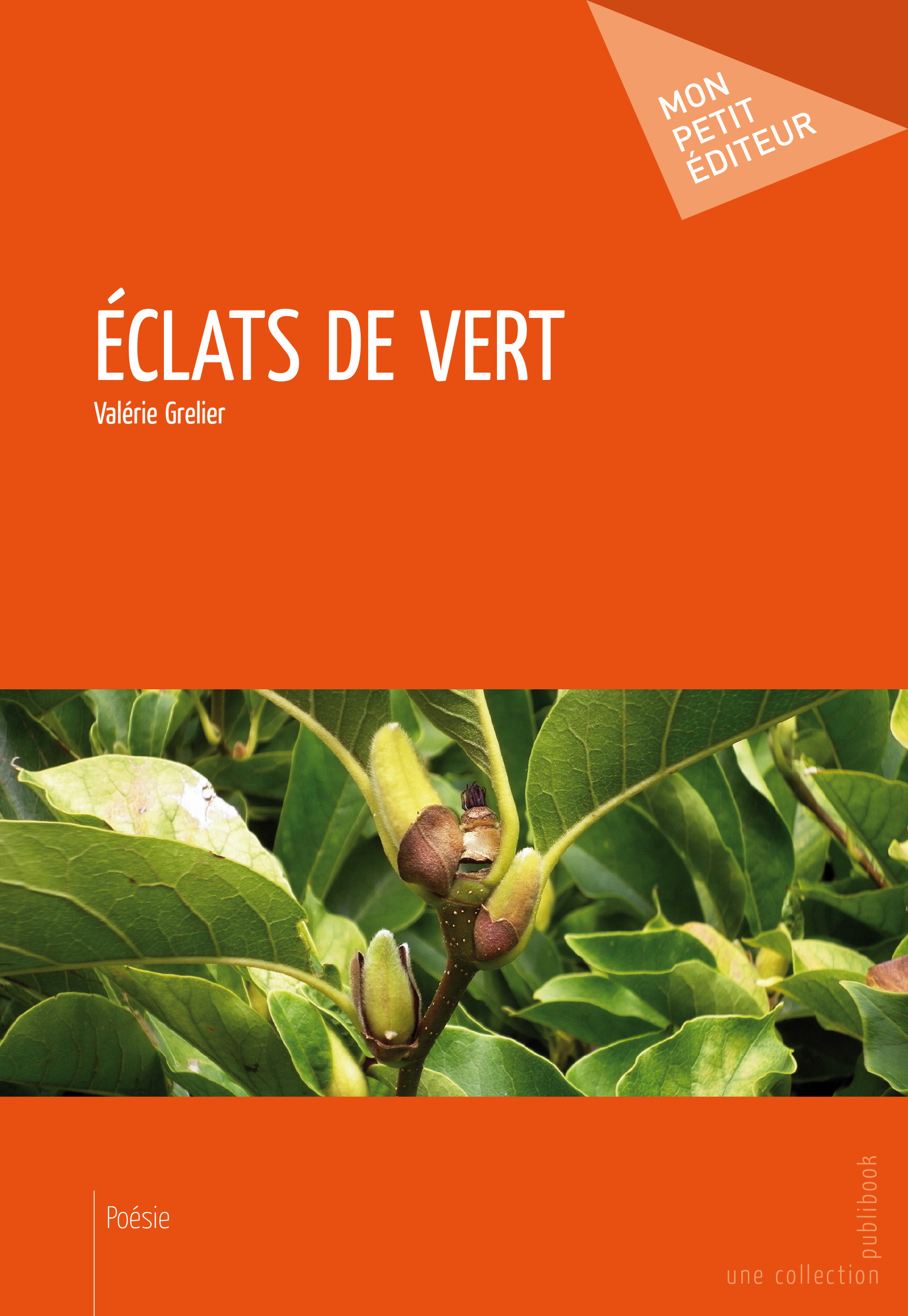 Couverture ebook de Éclats de vert, de Valérie Grelier