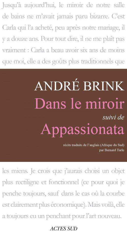 Couverture ebook de Dans le miroir, de André Brink