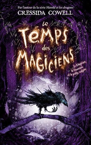 ebook cover of Le Temps des Magiciens - Tome 1 - Le Magicien, la Guerrière et la petite cuillère, by Cressida Cowell