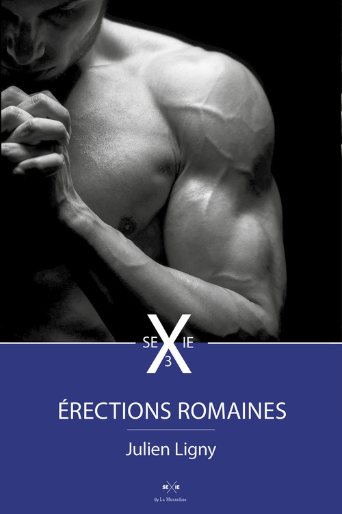 ebook cover of Erections romaines 3, by Julien Ligny