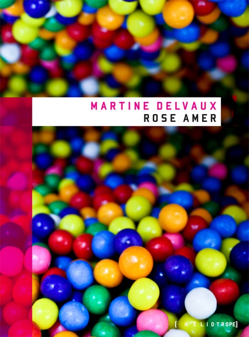 ebook cover of Rose amer, by Martine Delvaux