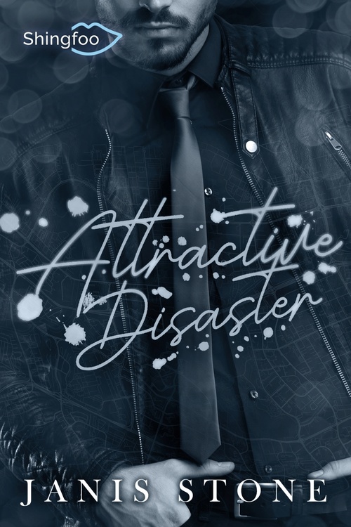 Couverture ebook de Attractive Disaster, de Janis Stone