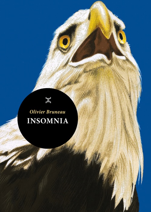 Couverture ebook de Insomnia, de Olivier Bruneau