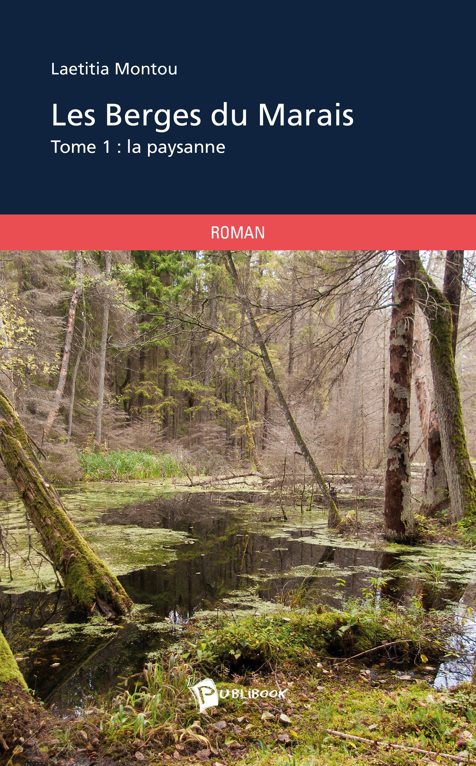 ebook cover of Les Berges du Marais, by Laetitia Montou