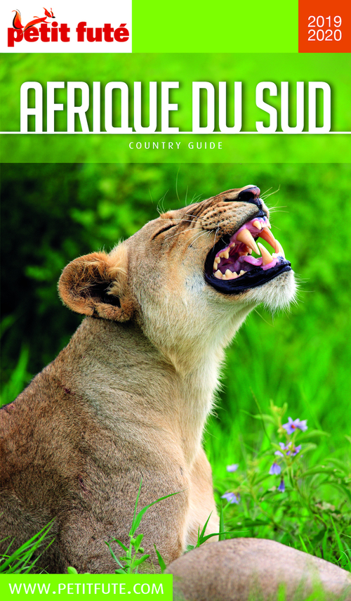 ebook cover of AFRIQUE DU SUD (+LESOTHO) 2019/2020 Petit Futé, by Collectif petit futé