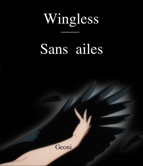 Couverture ebook de Sans ailes, de Geoni