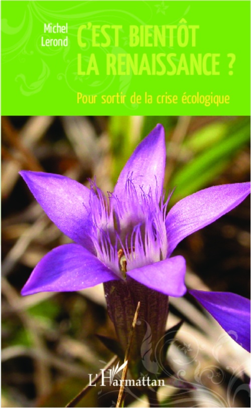 Couverture ebook de C'est bientôt la renaissance ?, de Michel Lerond