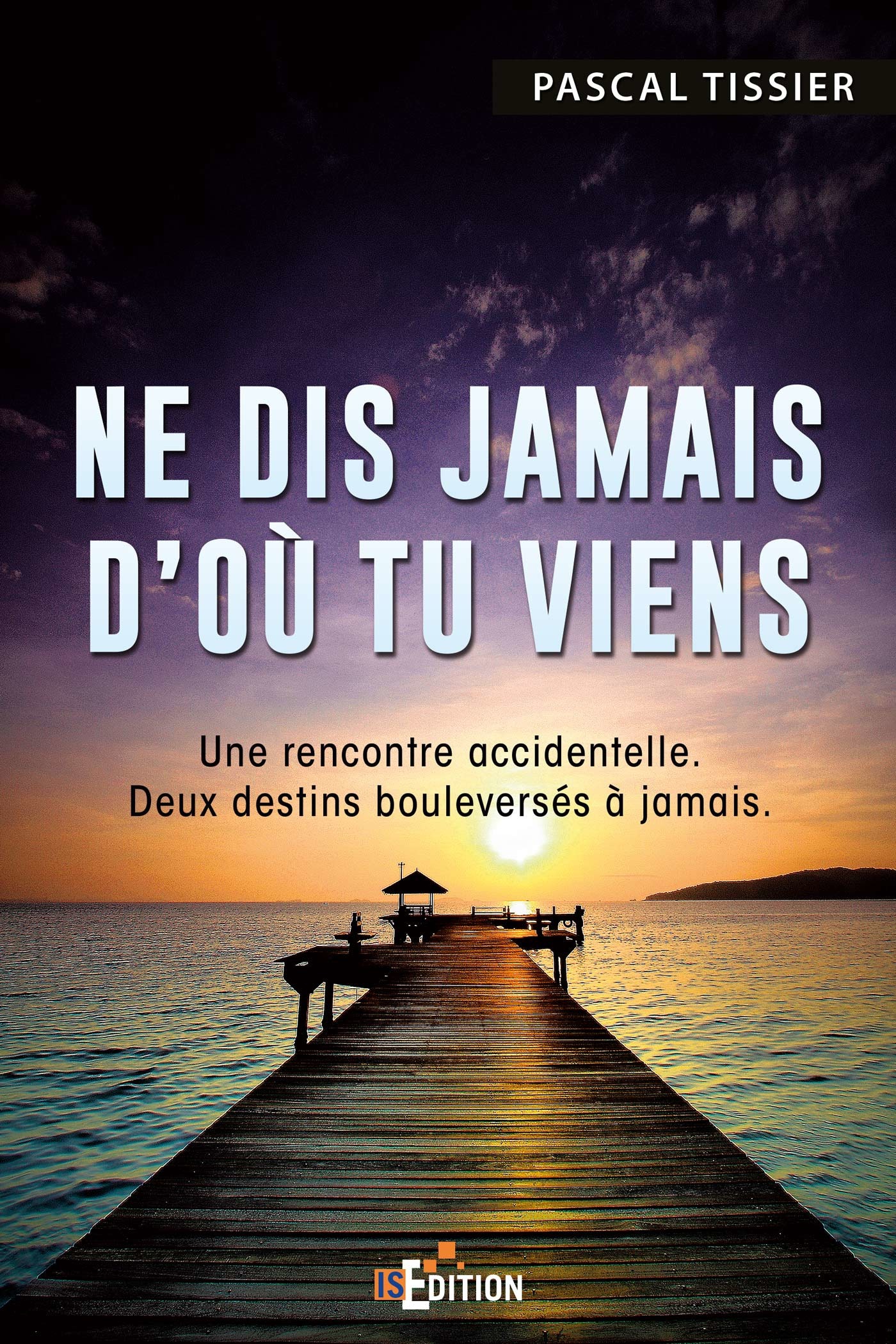 ebook cover of Ne dis jamais d'où tu viens, by Pascal Tissier