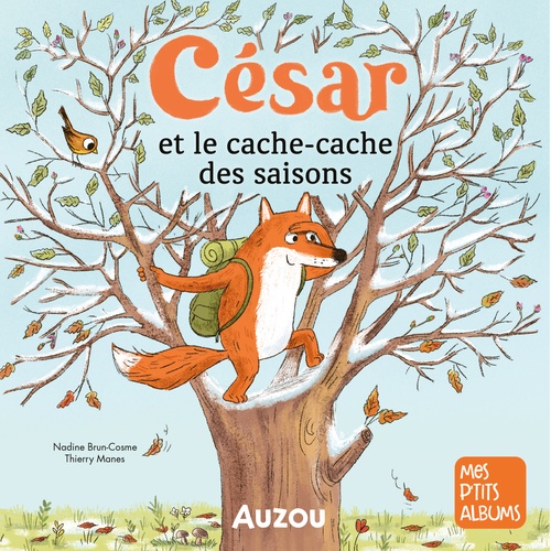 Couverture audiobook de César et le cache-cache des saisons, de Nadine Brun-Cosme
