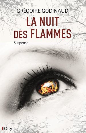 Couverture ebook de La nuit des flammes, de Grégoire Godinaud