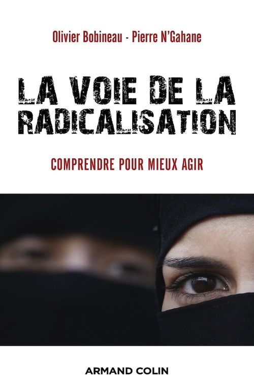 ebook cover of La voie de la radicalisation, by Olivier Bobineau, Pierre N'gahane