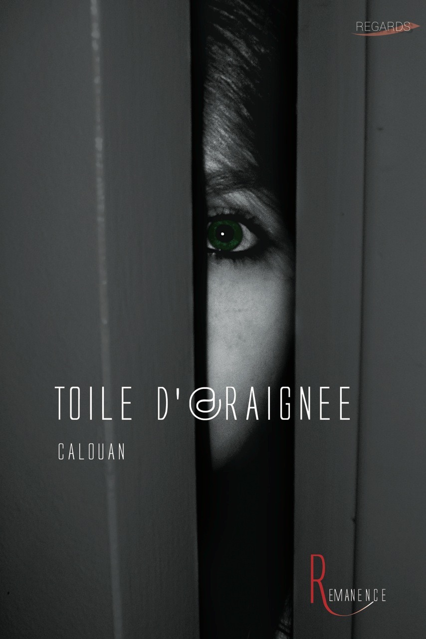 ebook cover of Toile d'araignée, by Calouan