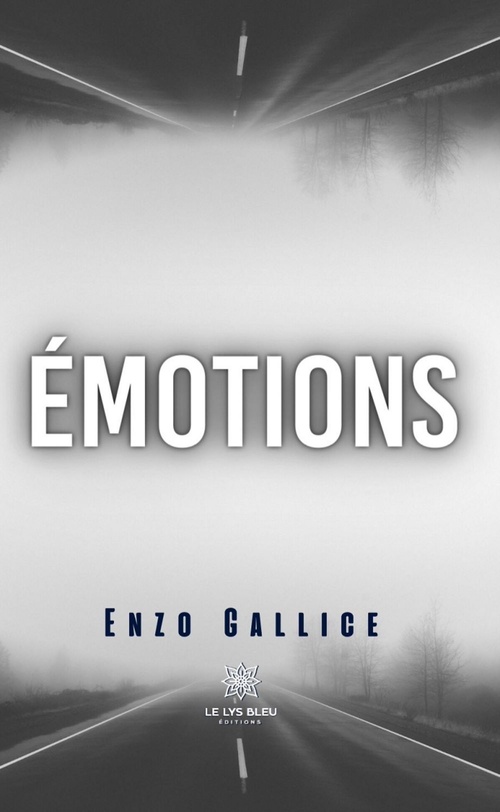 ebook cover of Émotions, by Enzo Gallice