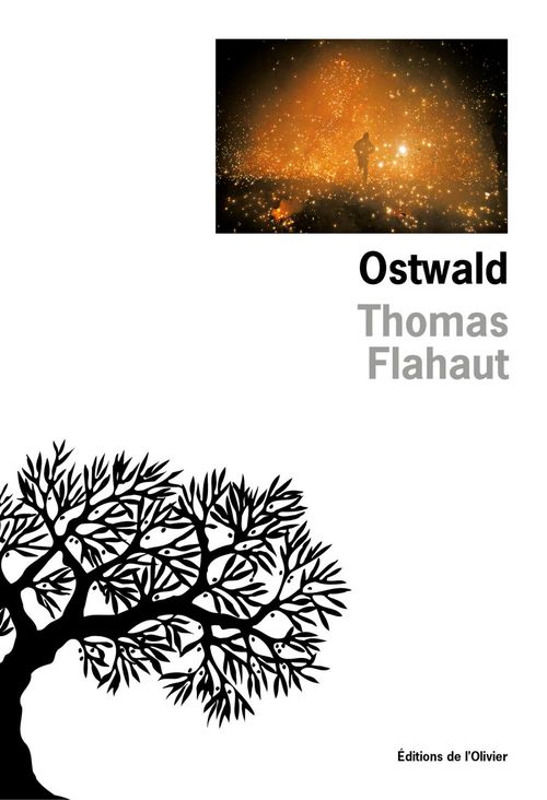 ebook cover of Ostwald, by Thomas Flahaut
