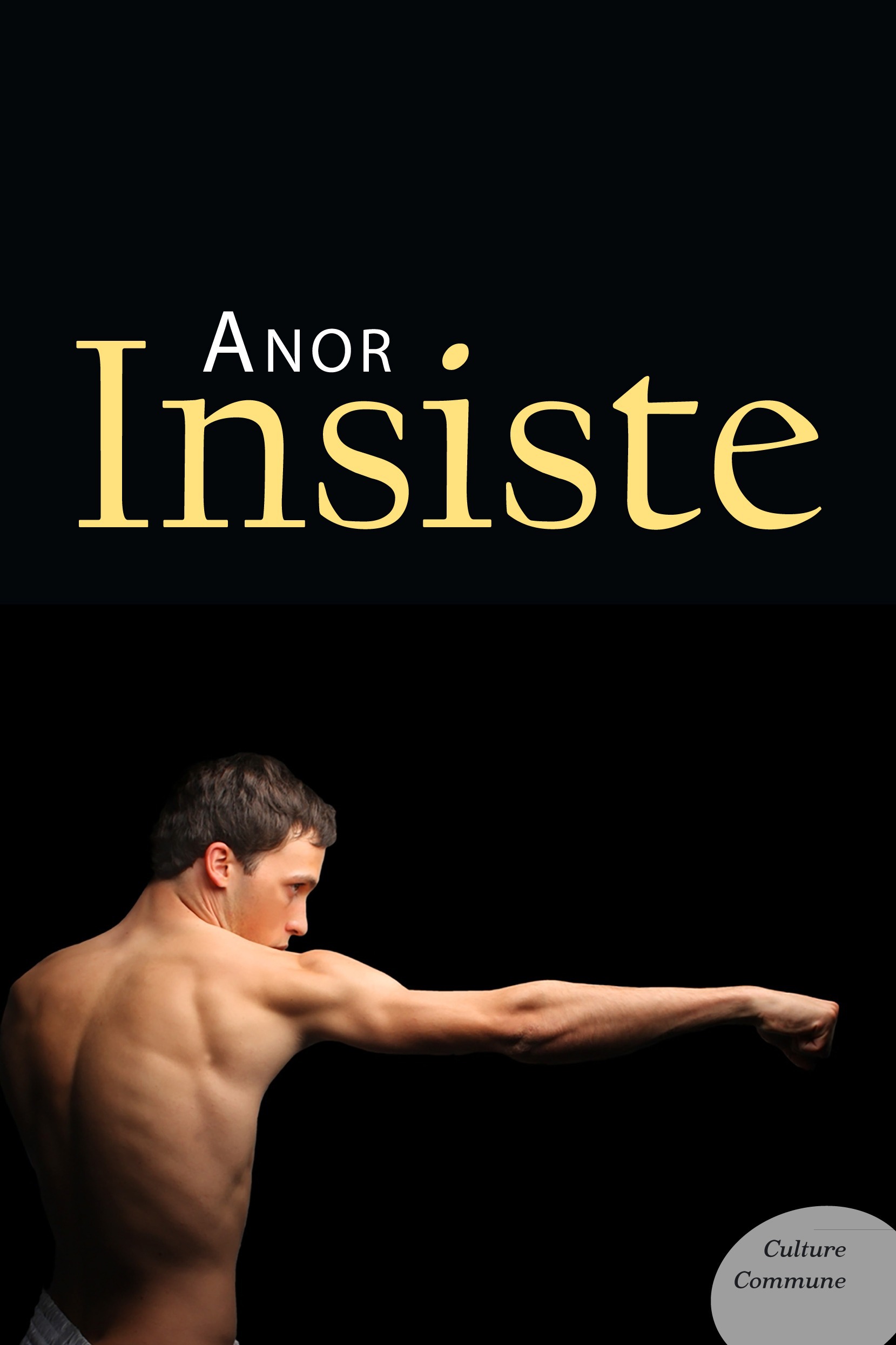 ebook cover of Insiste, by Anor