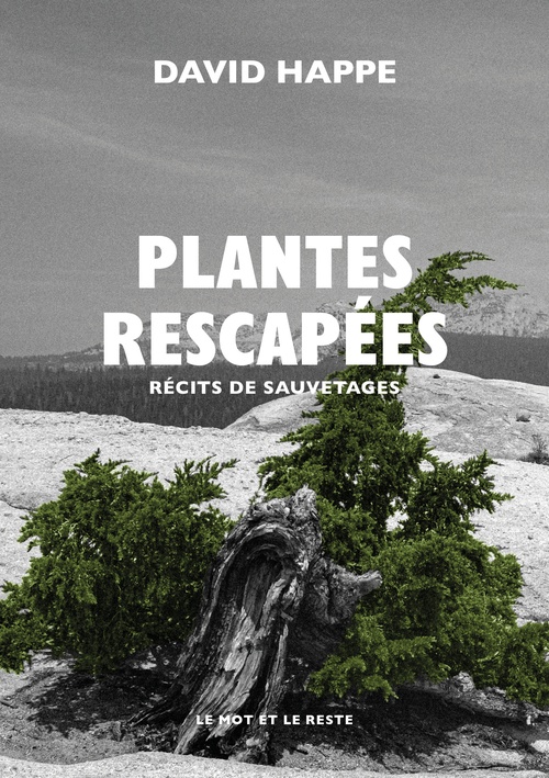 ebook cover of Plantes rescapées, by David HAPPE