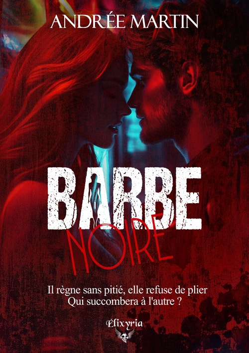 Couverture ebook de Barbe noire, de Andrée Martin