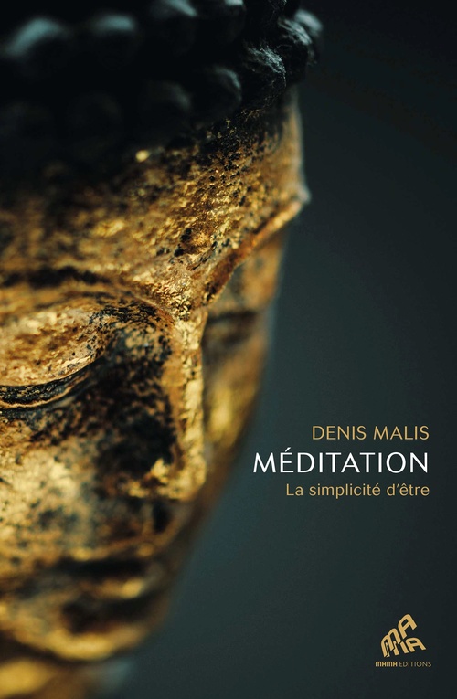 ebook cover of Méditation, by Denis Malis