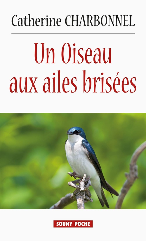 Couverture ebook de Un Oiseau aux ailes brisées, de Catherine Charbonnel