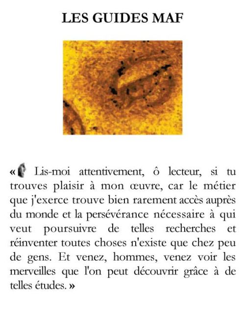 Couverture ebook de Léonard De Vinci, un voyage entre Romagne et Marches, de Marc-andre Fournier