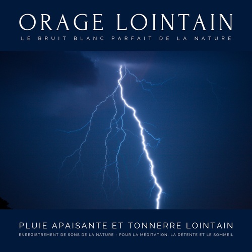 audiobook cover of Pluie apaisante et tonnerre lointain - Enregistrement de sons de la nature - Pour la méditation, la détente et le sommeil - Le bruit blanc parfait de la nature, by Dr. Laurence Goldman