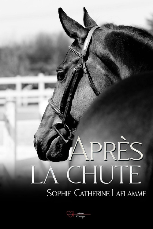 ebook cover of Après la chute, by Sophie-Catherine Laflamme