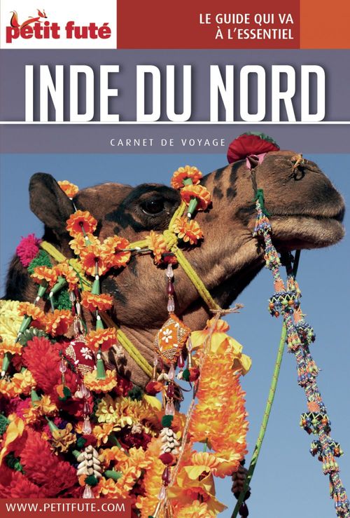 ebook cover of INDE DU NORD 2016 Carnet Petit Futé, by Collectif petit futé