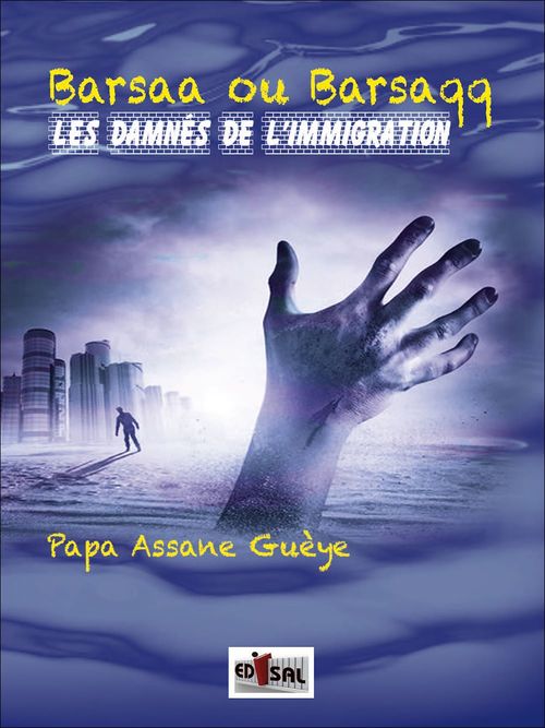 ebook cover of Barsaa ou Barsaqq, by Papa Assane Gueye